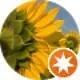 discovers app