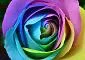 Lorem ipsum dolor sit amet01