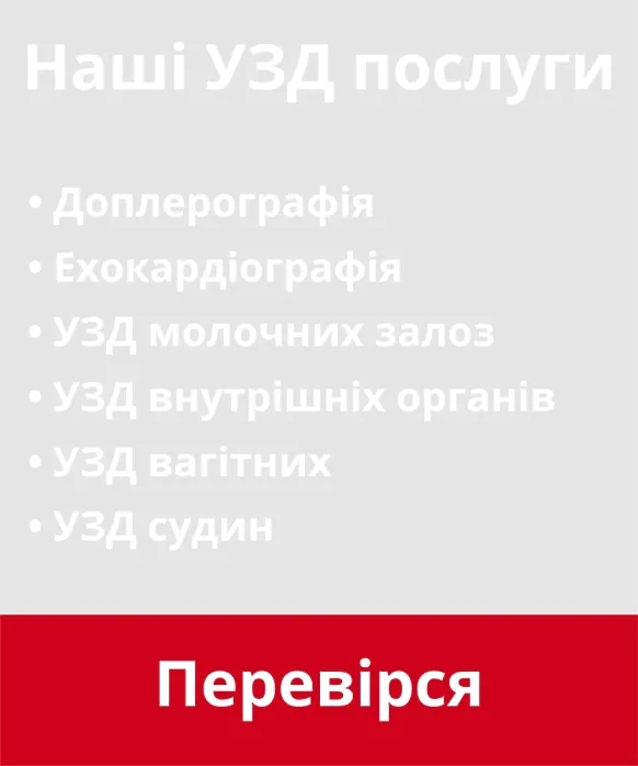 УЗИ услуги 500х600