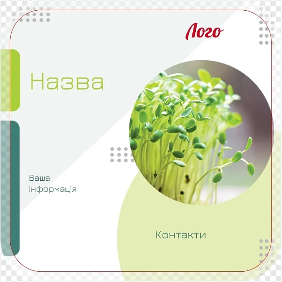 Зеленая геометрия